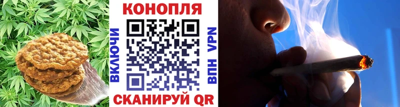 Купить  Рузаевка  Canna-Cookies конопля 