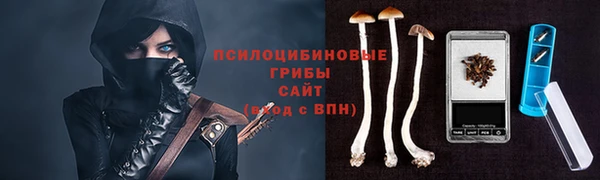 герыч Инта