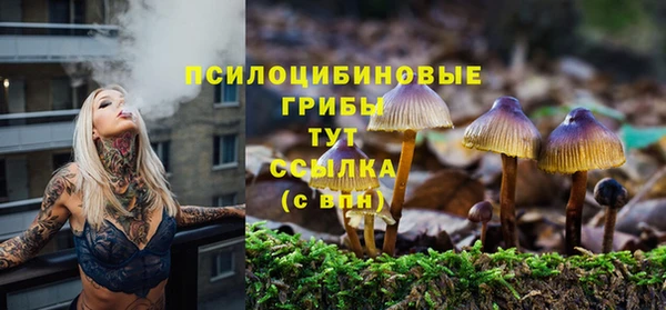 герыч Инта